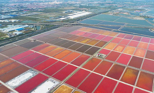 天津長蘆漢沽鹽場有限責(zé)任公司